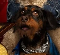 M.C.Bite (Pupstar)