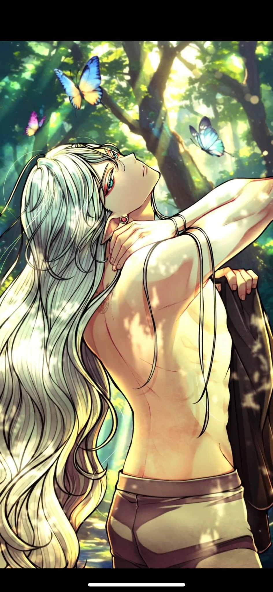 Shiro（恶猫 白）