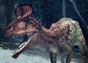 Cryolophosaurus 