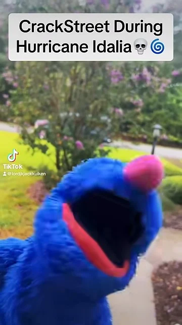 Grover (LORD JK)