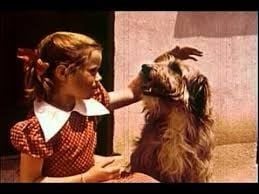 W.I.G.U. song from wonder showzen episode 2 "Time"