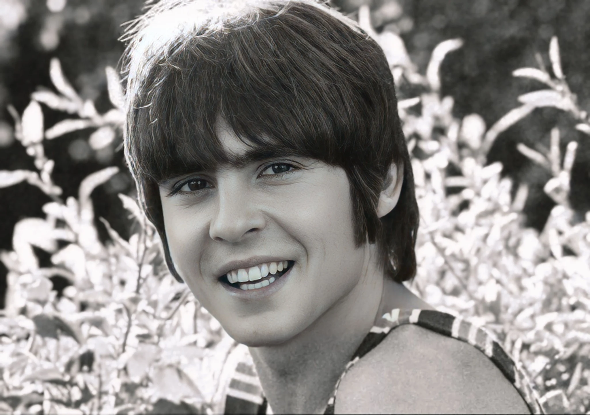 Davy Jones (monkees) version 2