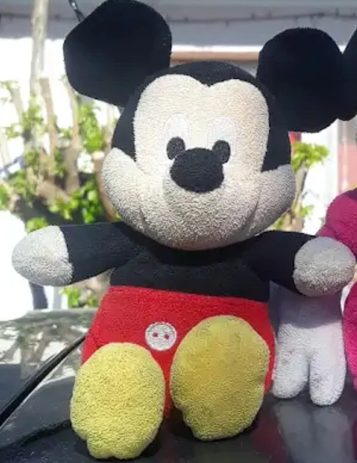 Mickey Mouse (Mana TV România)