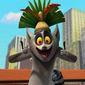 madagascar rei julian br