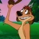 Kevin Schon As Timon The Meerkat (From Timon And Pumbaa)