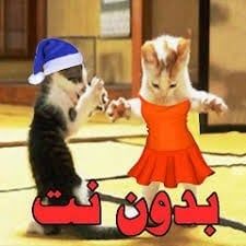ندى حبيبة بابا