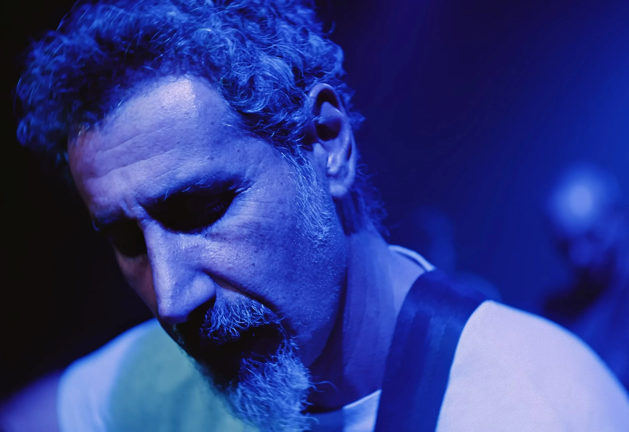 Serj Tankian Singing Voice 2025
