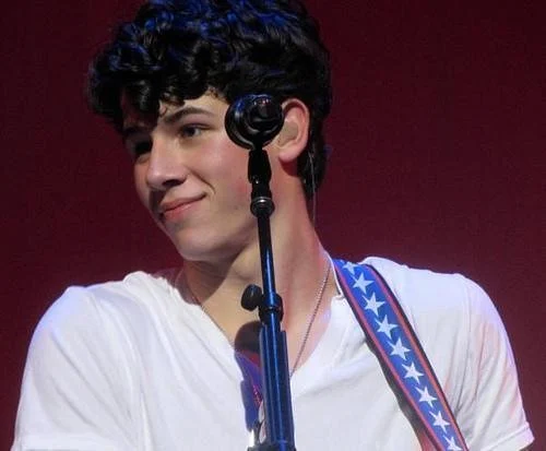 Nick Jonas (Speaking Voice) (2010)