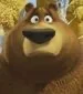 Boog (latino) open season 4 scared silly