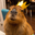 maxi user image