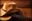farra user image