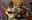 lumi_william42 user image