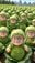 Rowan Miller user image