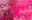 xxx_H0lyB1c0n_xxx user image