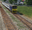 Thimgs user image