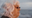 Ortysian user image