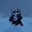 sanb user image