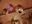 eamontentacles user image