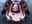 hi user image
