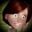 Chronis user image