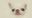 Fish Finger user image