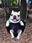 MINAGEL user image