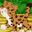 BabyJaguar user image