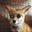 方何碍 user image