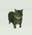 MImouto(๑˃̵ᴗ˂̵) user image