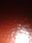 大春 user image