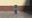 MinecraftFan04 user image