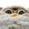 Vinny The Furb user image
