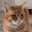sidd7380 user image