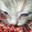 unfunmylittleguy user image