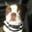 smelly user image