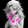 cherryrutherford user image
