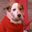 mr_finli2 user image