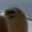 manboacids_37048 user image
