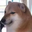 cn_114514_87228 user image