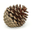 simple_kilo user image