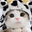 elverunioo user image