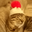 anonymous_cat1 user image