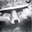 whiskeyracoon user image