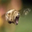 bhernardo user image