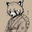 enotpolosk user image