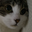 over_zone user image