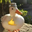 irvingjro user image