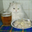 catbeerpelmeni user image
