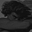 madouse4444 user image