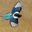 ur1404 user image